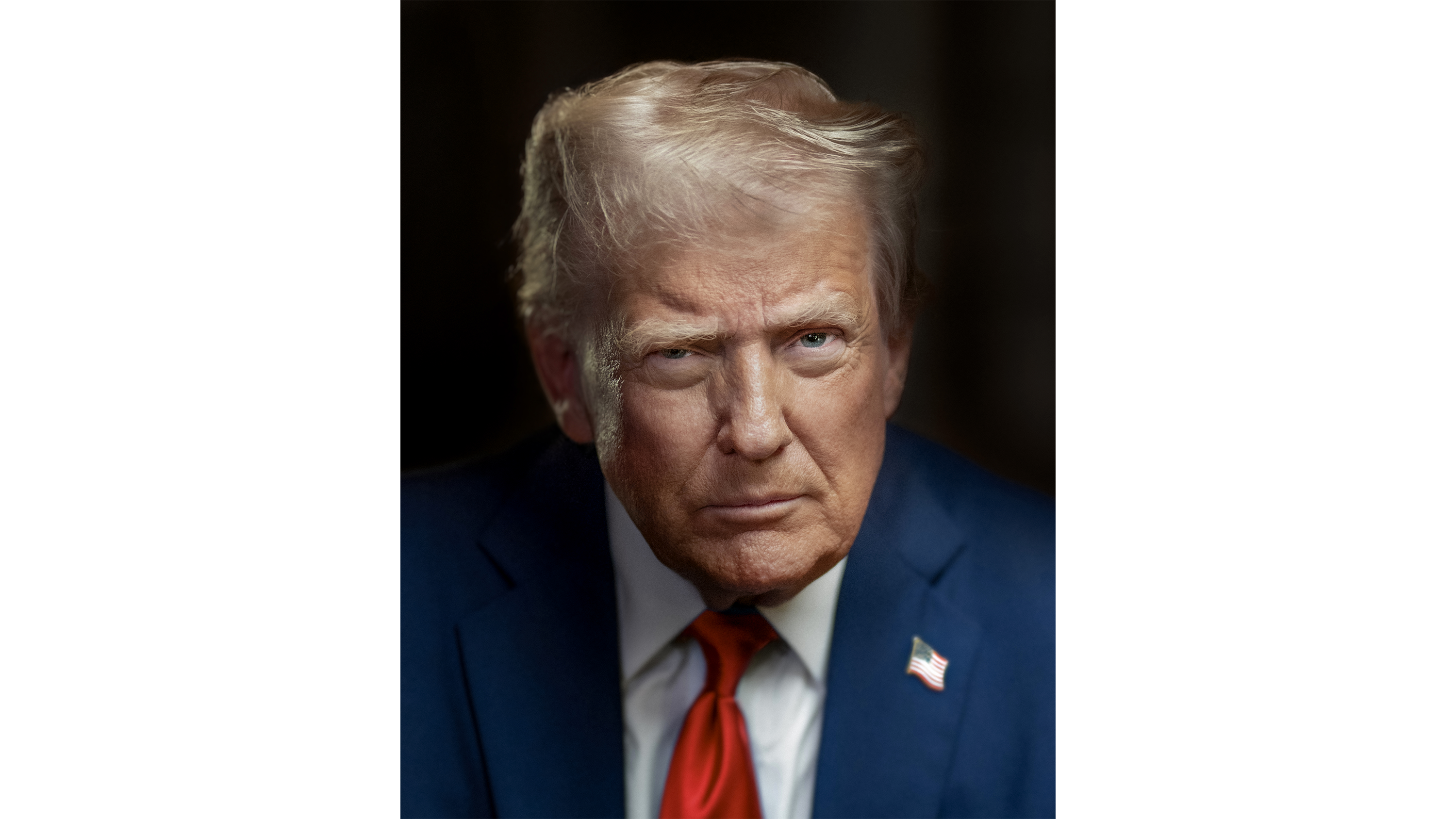 Official presidential portrait of Donald Trump, White House